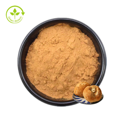 Wyciąg z grzybni Lions Mane Proszek z grzybów Hericium Erinaceus 30%