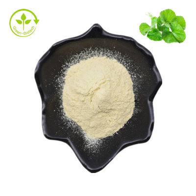 Ekstrakt z Hydrocotyle Asiatica / Centella Asiatica / Gotu Kola 70% proszku azjatyckiego