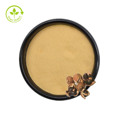Ekstrakt z nasion Camellia Sinensis Saponina w proszku 50% 60% 70% 80% 85% 90% 95% 98%