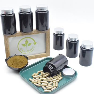 Wyciąg z Ajuga Turkestanica 500mg 10% Turkesteron Kapsułki Do Suplementu Mięśni