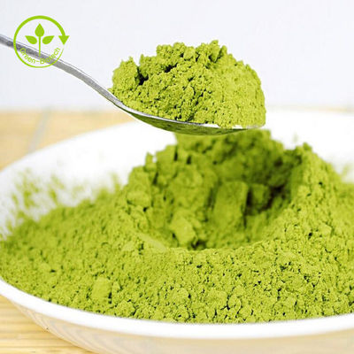 Bulk Pure Green Tea Powder Organiczny proszek Matcha do jedzenia / napojów