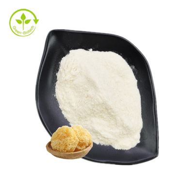 Tremella Fuciformis Ekstrakt Polisacharydy Proszek 30% - 50%