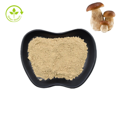 Naturalny ekstrakt z grzybów Penny Bun Porcini Pure Borowik w proszku 99%