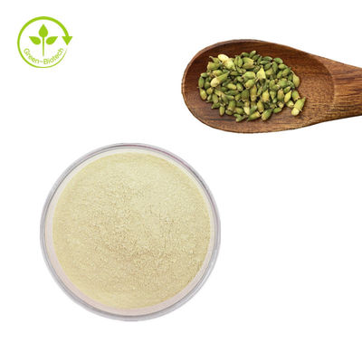 Dostawa fabryczna ekstrakt z sophora japonica rutyna 95% ekstrakt z sophora japonica proszek rutyny