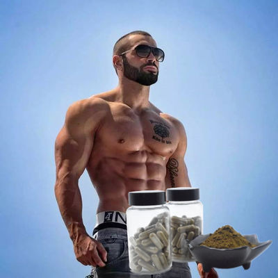 Czysty Turkesteron 40% 10% Private Label Kapsułki Ajuga Turkesterone 500 mg 1000 mg