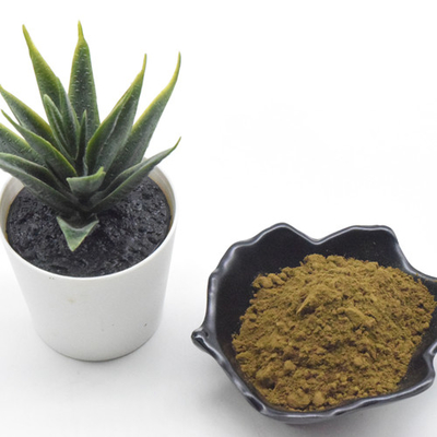 Organiczny Turkesteron w proszku Turkesteron 10% hydroksypropylo-beta-cyklodekstryna