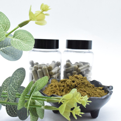 Ekstrakt roślinny Ekstrakt z Ajuga Turkestanica Proszek 40% 500 mg / 60 kapsułek / Butelka Turkesteron Kapsułki