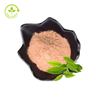 100% naturalny organiczny świeży i roślinny ekstrakt z ekstraktu z roślin liściastych do odchudzania Ekstrakt z zielonej herbaty w proszku
