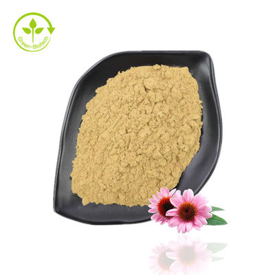Proszek ekstraktu z Echinacea Purpurea o wysokiej czystości 10% -40% Echinacoside