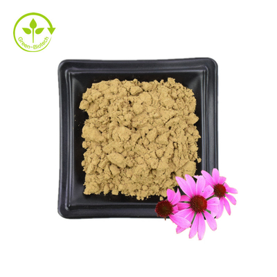 Ekstrakt z Echinacea Purpurea 4% polifenol 2% kwas cykorowy