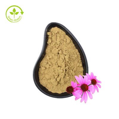 Ekstrakt Echinacea Purpurea Czyste proszek Ekstrakt Echinacea organiczna Polifenole 4%
