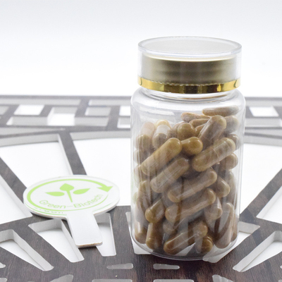 Wyroby Produkcja Ginseng Root Powder Panax Ginseng Extract 20:1 Ginsenoside 80%