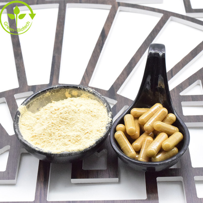 Sprzedaż hurtowa wysokiej jakości niska cena Panax Ginseng Korzeń czerwony Ginseng