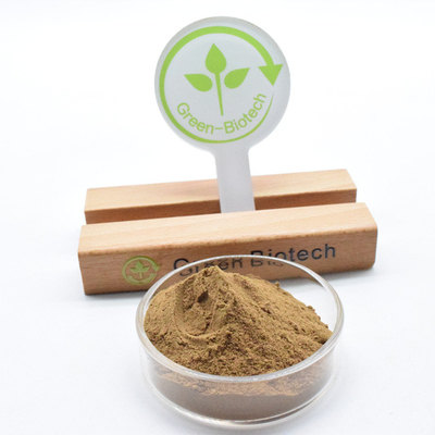 Sprzedaż hurtowa Dendrobium Extract Powder 10:1 o wysokiej jakości