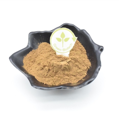 2% Ajuga Turkest Extract Kulturystyka