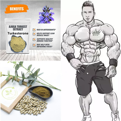 500 mg naturalnych ekstraktów roślinnych Turkestanica