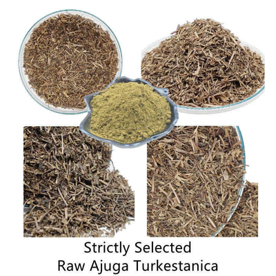 500 mg naturalnych ekstraktów roślinnych Turkestanica
