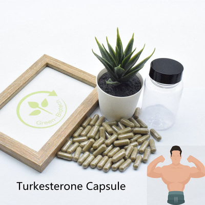 2% 10% Ajuga Turkestanica uzupełnia naturalne ekstrakty roślinne Ecdysteroid