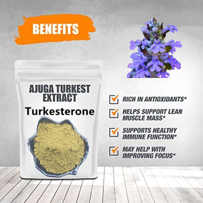 2% 10% Ajuga Turkestanica uzupełnia naturalne ekstrakty roślinne Ecdysteroid
