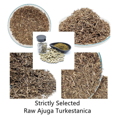 2% 10% Ajuga Turkestanica uzupełnia naturalne ekstrakty roślinne Ecdysteroid