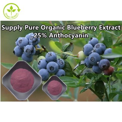 Czysty organiczny ekstrakt z jagód w proszku Antocyjan 25%