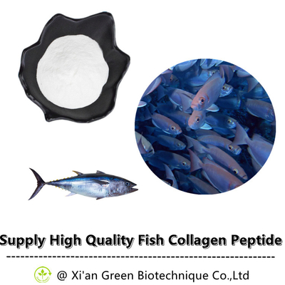 Gorący sprzedawanie Pure Fish Collagen Peptide Powder Deep Sea Fish Peptyd kolagenowy