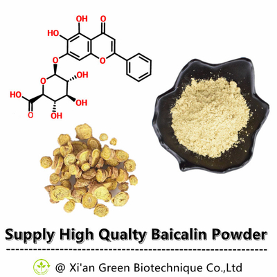 Green Biotech Supply Ekstrakt z jarmułki Baical o wysokiej czystości Baicalin 80% 85% 90% 98% NR CAS: 21967-41-9