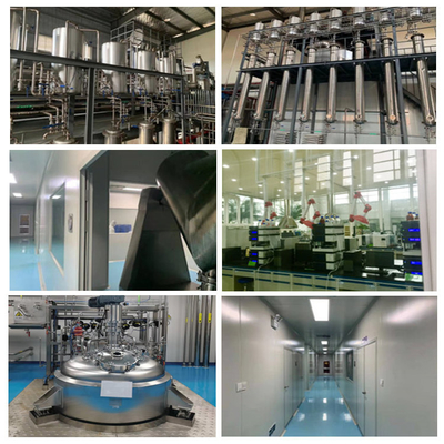 Green Biotech Supply Ekstrakt z jarmułki Baical o wysokiej czystości Baicalin 80% 85% 90% 98% NR CAS: 21967-41-9
