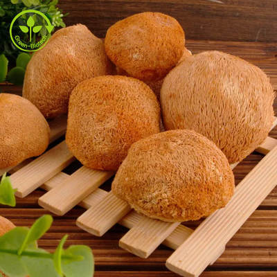 Wyciąg z grzybni Lions Mane Proszek z grzybów Hericium Erinaceus 30%