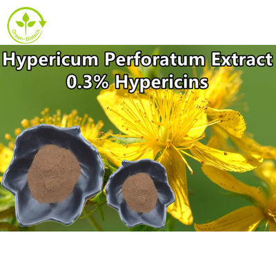 Hypericum Perforatum Extract 0,3% Hypericin St Johns Wort Extract Powder
