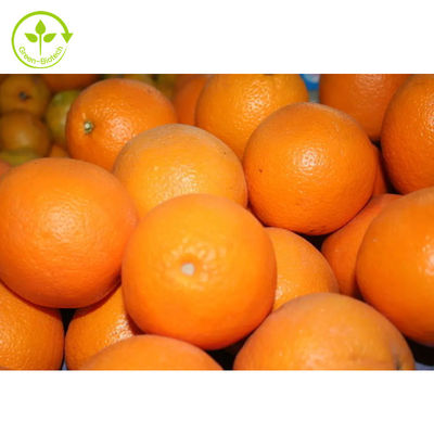 Food Grade Citrus Aurantium Extract Diosmin 98% Hesperydyna w proszku