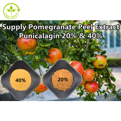 Czysty naturalny ekstrakt z granatu w proszku Punicalagin CAS 65995-63-3