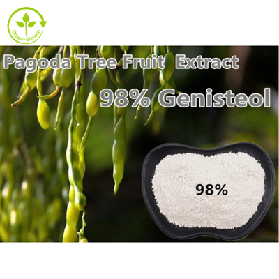 98% Genisteina Fructus Sophorae Wyciąg roślinny w proszku Nepeta Japonica Maxim