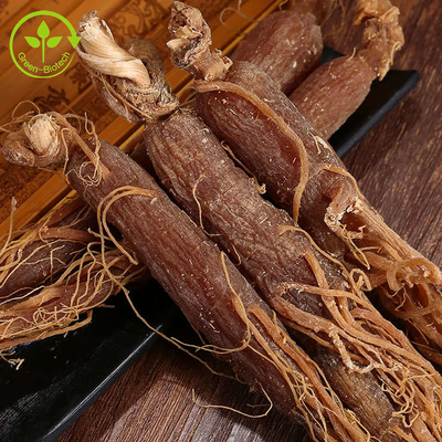Spożywczy naturalny koreański czerwony żeń-szeń w proszku Ekstrakt z korzenia czerwonego żeń-szenia w proszku