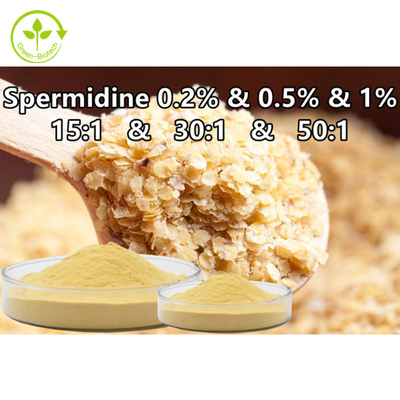 Wysoka czystość 334-50-9 Spermidyna w proszku 0,1% 0,5% 1% dla produktu zdrowej pielęgnacji