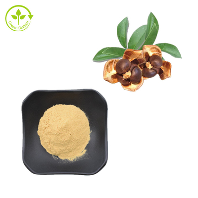 CAS 8047-15-2 Naturalne ekstrakty roślinne 80% proszek saponiny z nasion herbaty