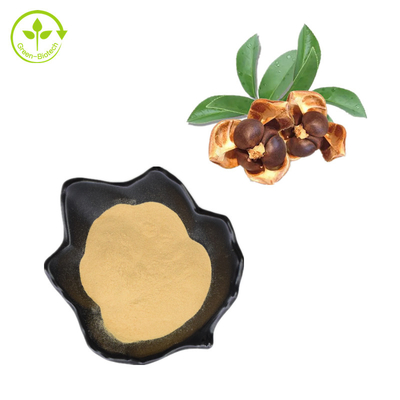 CAS 8047-15-2 Naturalne ekstrakty roślinne 80% proszek saponiny z nasion herbaty