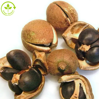 Ekstrakt z nasion Camellia Sinensis Saponina w proszku 50% 60% 70% 80% 85% 90% 95% 98%