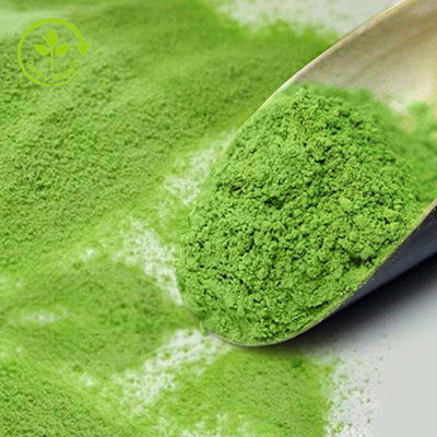 Bulk Pure Green Tea Powder Organiczny proszek Matcha do jedzenia / napojów
