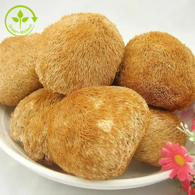 Organiczny ekstrakt z grzybni Lions Mane w proszku do herbaty / Matcha / kawy