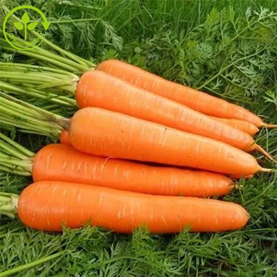 Dodatki do żywności Barwienie Ferment Beta Karoten Proszek 10%