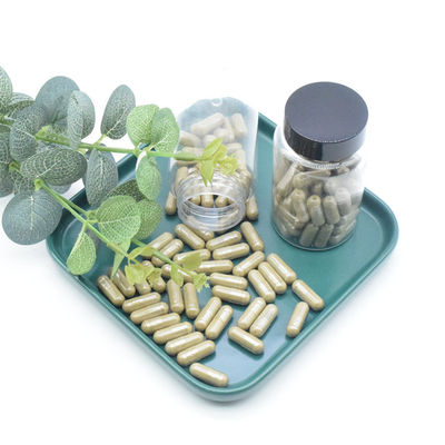 Ekstrakt roślinny Ekstrakt z Ajuga Turkestanica Proszek 40% 500 mg / 60 kapsułek / Butelka Turkesteron Kapsułki