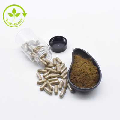Ekstrakt roślinny Ekstrakt z Ajuga Turkestanica Proszek 10% 500 mg / 60 kapsułek / Butelka Turkesteron Kapsułki