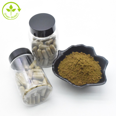 Ekstrakt roślinny Ekstrakt z Ajuga Turkestanica Proszek 10% 500 mg / 60 kapsułek / Butelka Turkesteron Kapsułki
