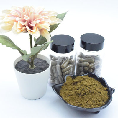 Suplement Ekstrakt z czystego ekstraktu z Ajuga Turkestanica 40% 500 mg Turkesteronu w kapsułkach