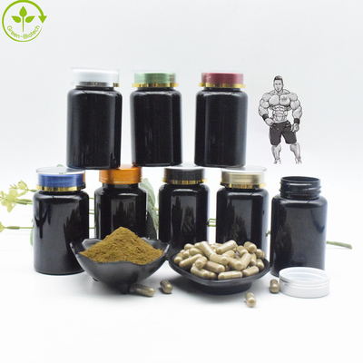 Naturalny organiczny ekstrakt z Ajuga Turkestanica w proszku 10% kapsułek Turkesteronu