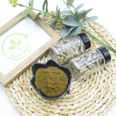 Food Supplement Ajuga Turkestanica Extract 10% 20% Turkesterone Powder
