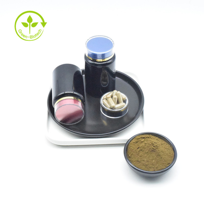 Private Label Pure Ajuga Turkestanica Extract 10% Turkesteron w proszku