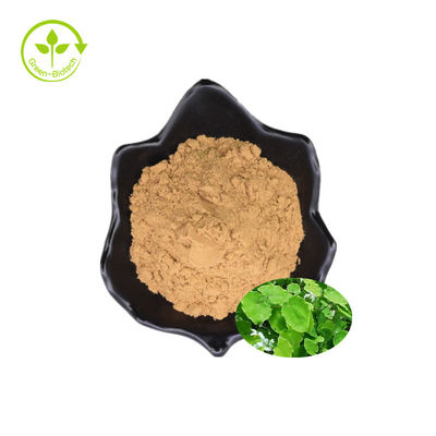 Hurtowy ekstrakt z dzikiego Epimedii Herbal Epimedii Epimedium