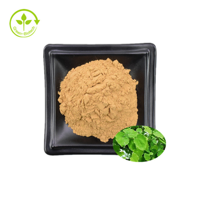 Epimedium Ekstrakt 98% Ikarytyna Miód Kozi Ekstrakt z chwastów 98% Ikarytyna